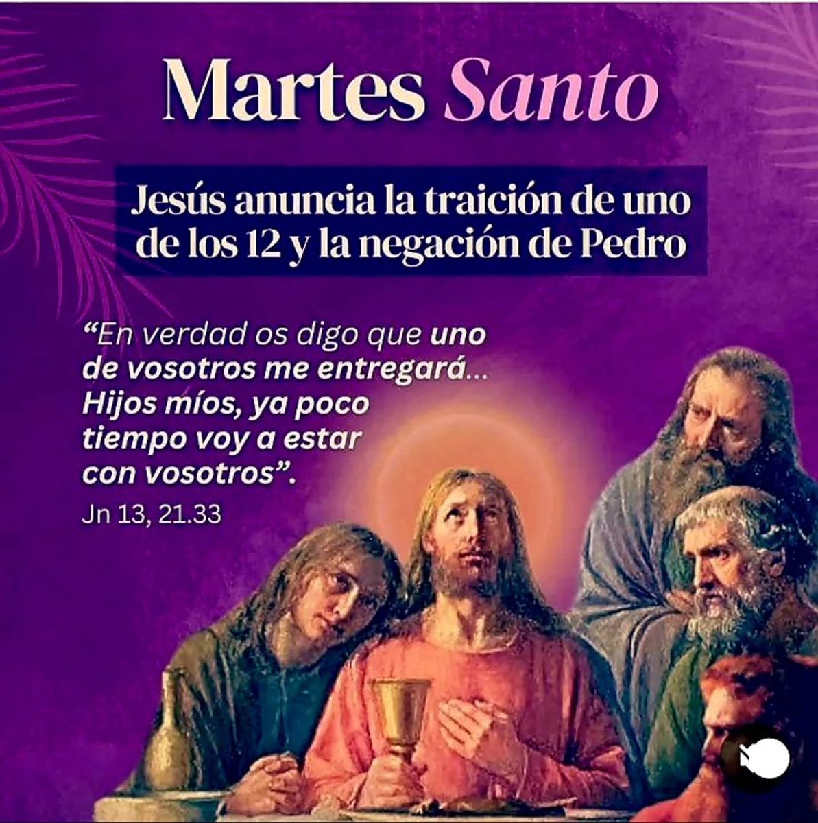 Meditar y vida tweet media