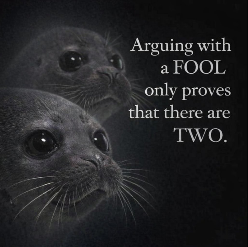 big kirei fan tweet media