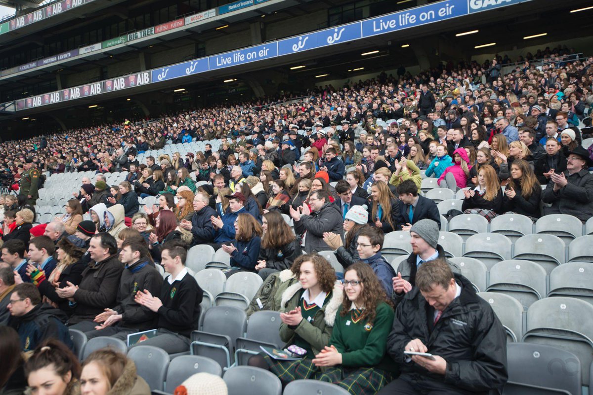 Senator Mark Daly tweet media