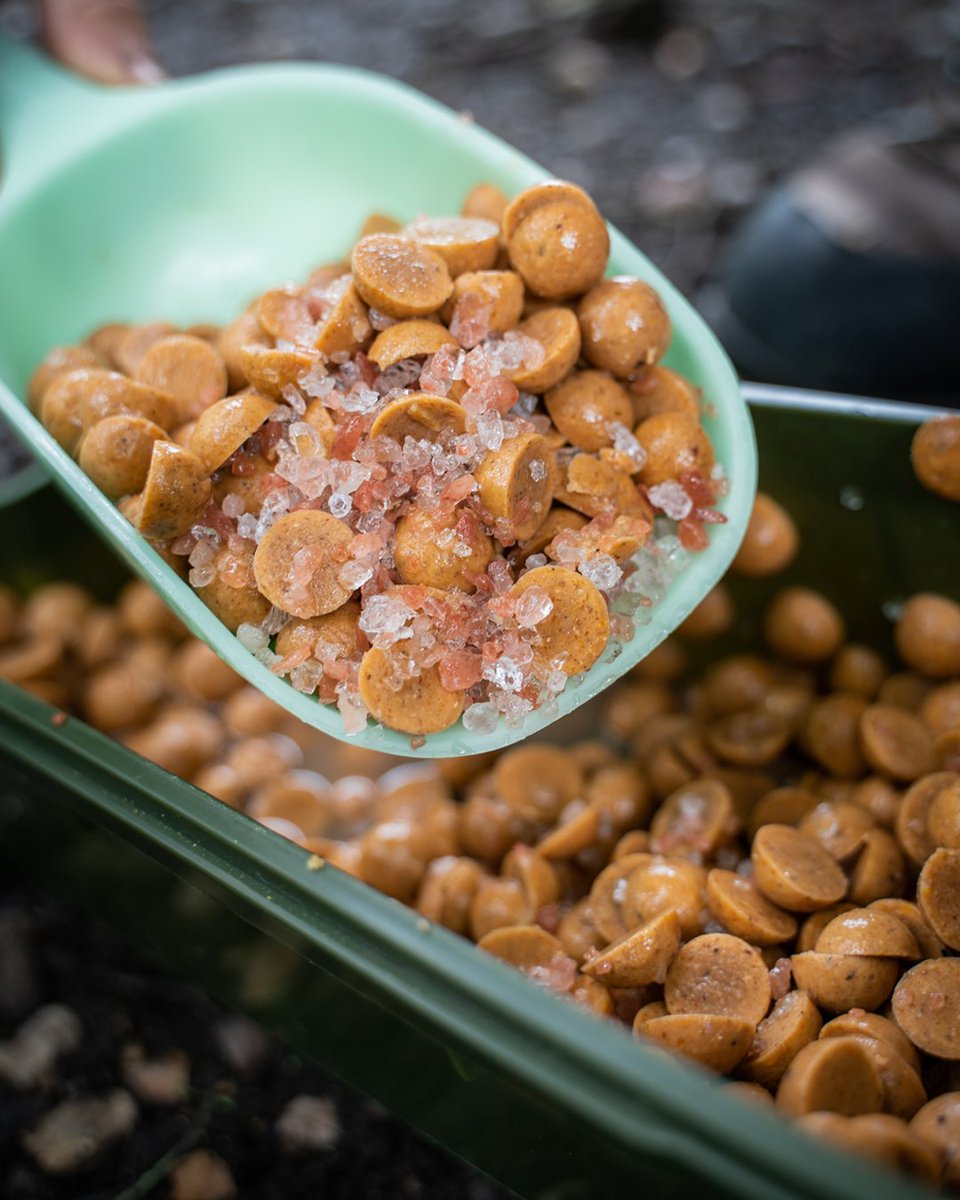 RidgeMonkey tweet media