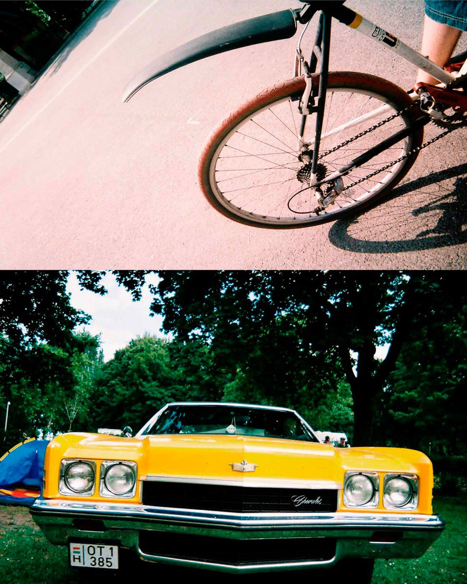 𝗥 𝗢 𝗕 𝗜 𝗦 𝗔 tweet media