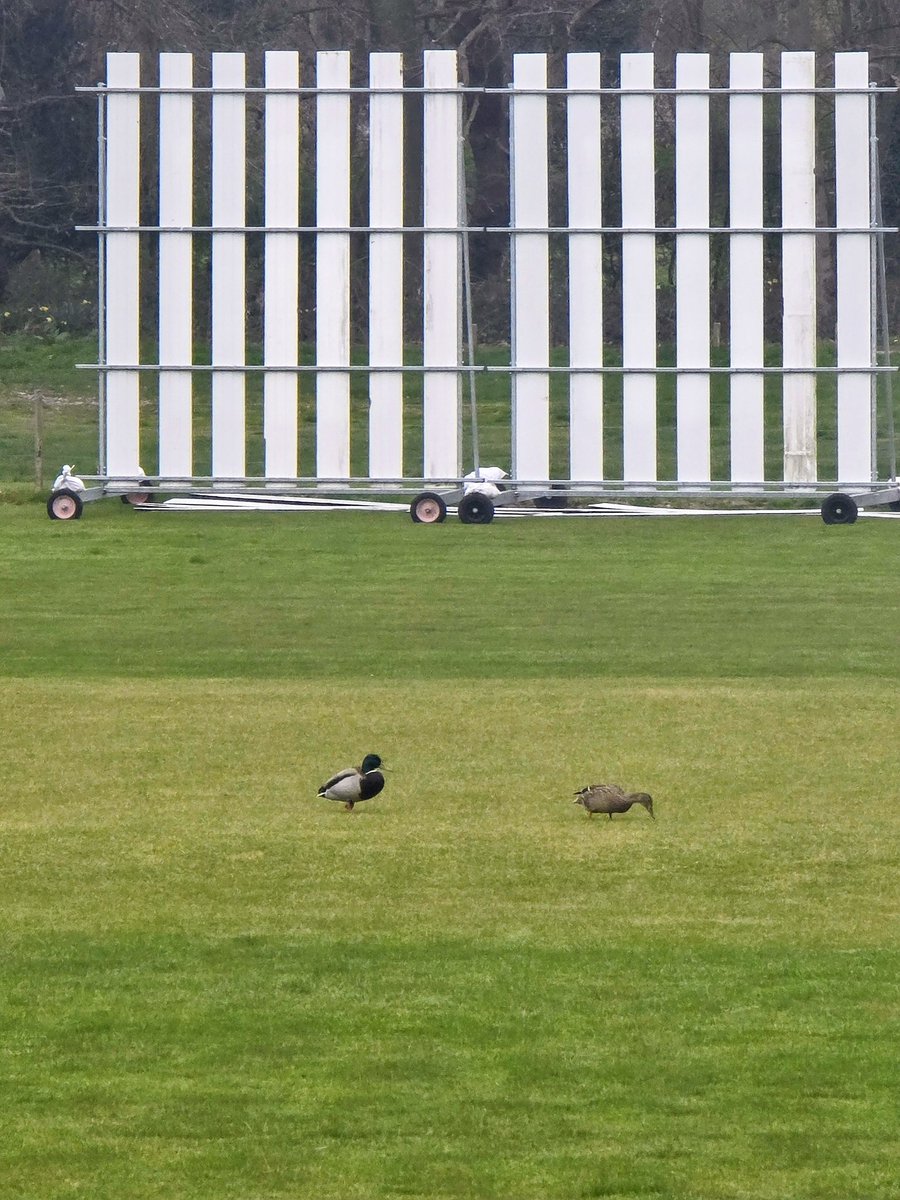 #WeDoGrass Ian tweet media