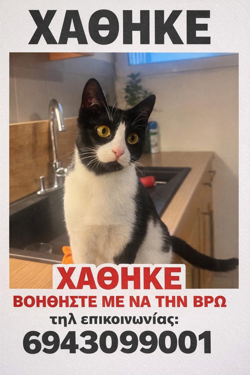 Ηλιούπολη Αθήνα κοντά στο νεκροταφείο . Βοηθήστε την κυρία την ψάνει🆘🆘