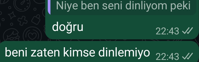 Voice of Light tweet media