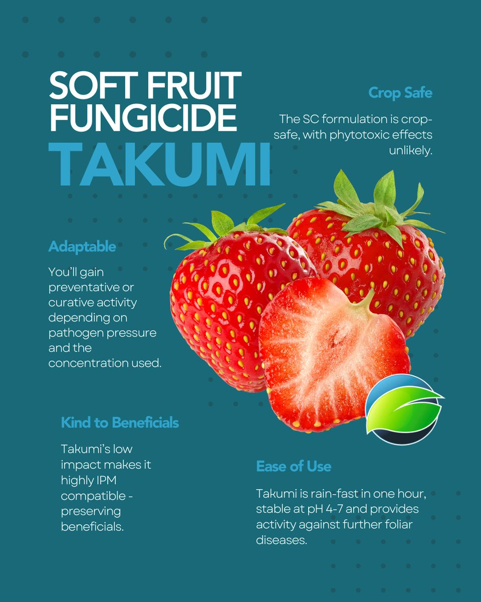certis_belchim's tweet image. Protect soft fruit from powdery mildew with Takumi 🍓

Speak to our technical team for more information: 01223 652500⁠

#Strawberries #PowderyMildew #CropProtection #HorticultureUK #Agronomy #GrowersUK