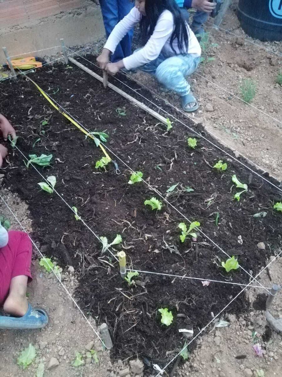 Foundations4Farming International tweet media