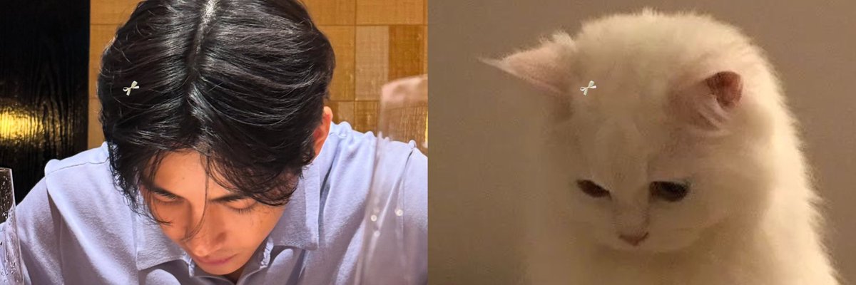 divinegria's tweet photo. Kittae domination https://t.co/BbGYCDsv0D