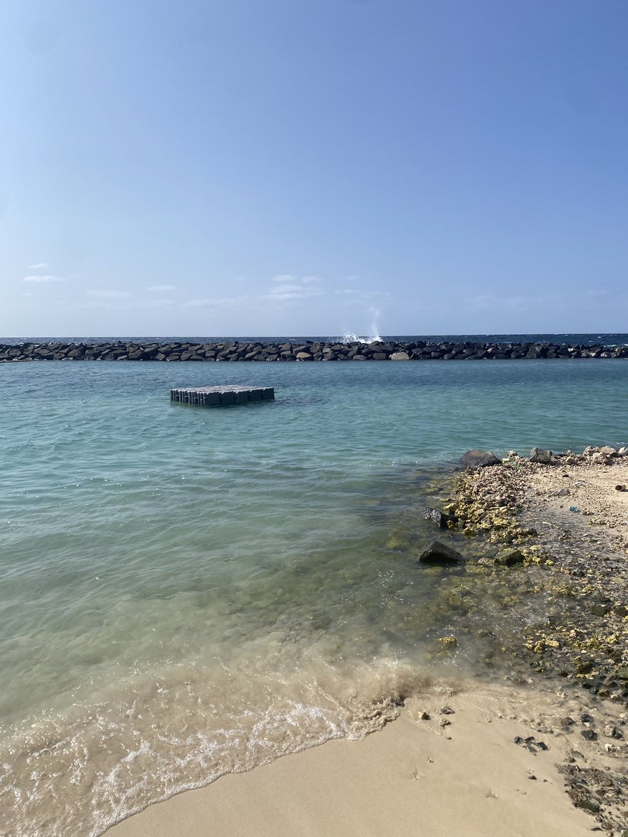 رينـا tweet media