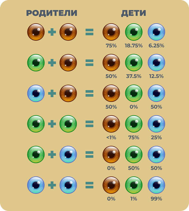 Владимир, игрок в кальмара tweet media