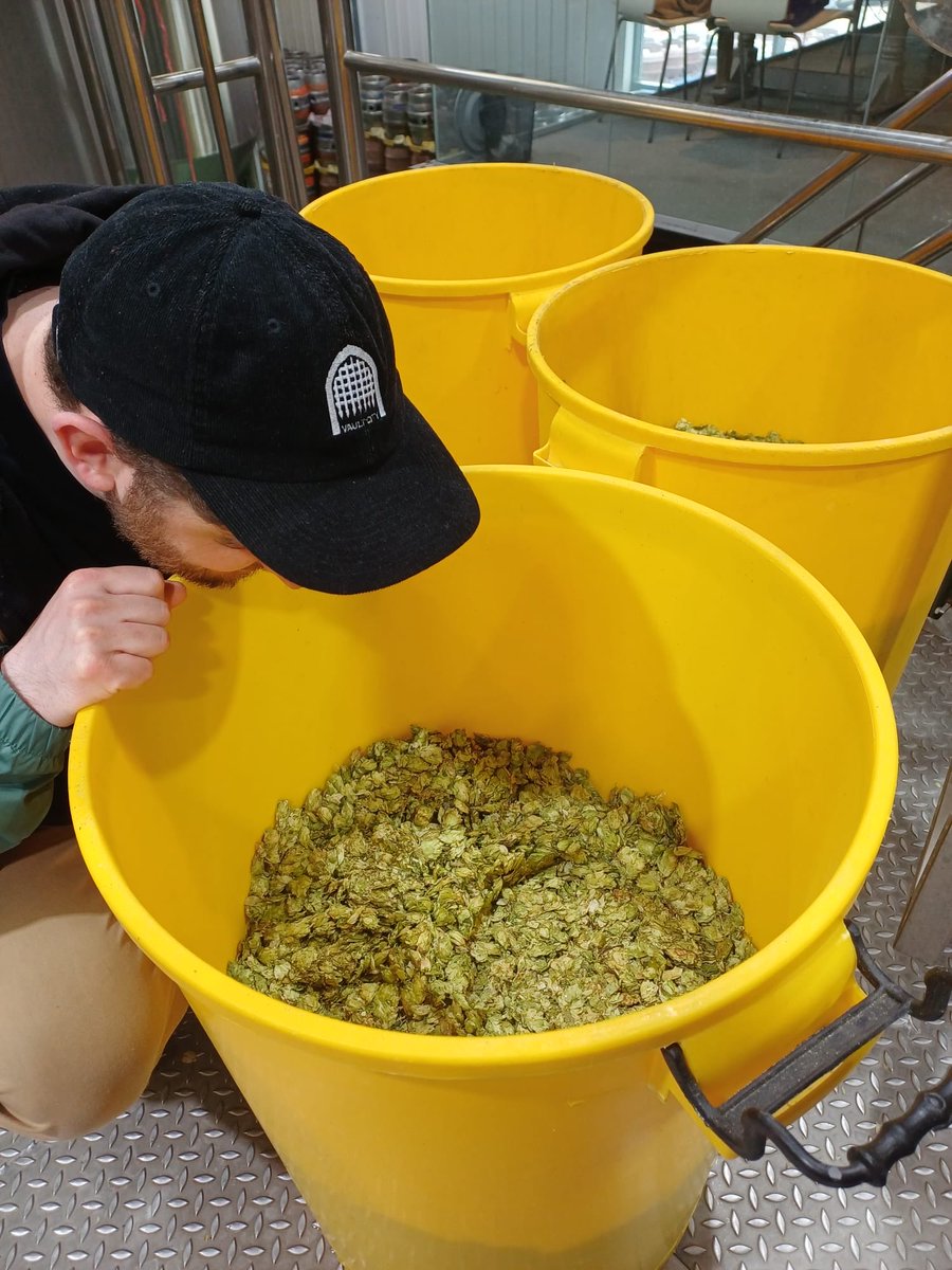 thornbridge's tweet image. THORNBRIDGE X VAULT CITY

Vault City Brewing have been with us today brewing something seriously HOPPY 👀 🌱

Stay tuned for cans and kegs landing in May!! 🔥

#collab #newbeer #comingsoon #vaultcity #thornbridge