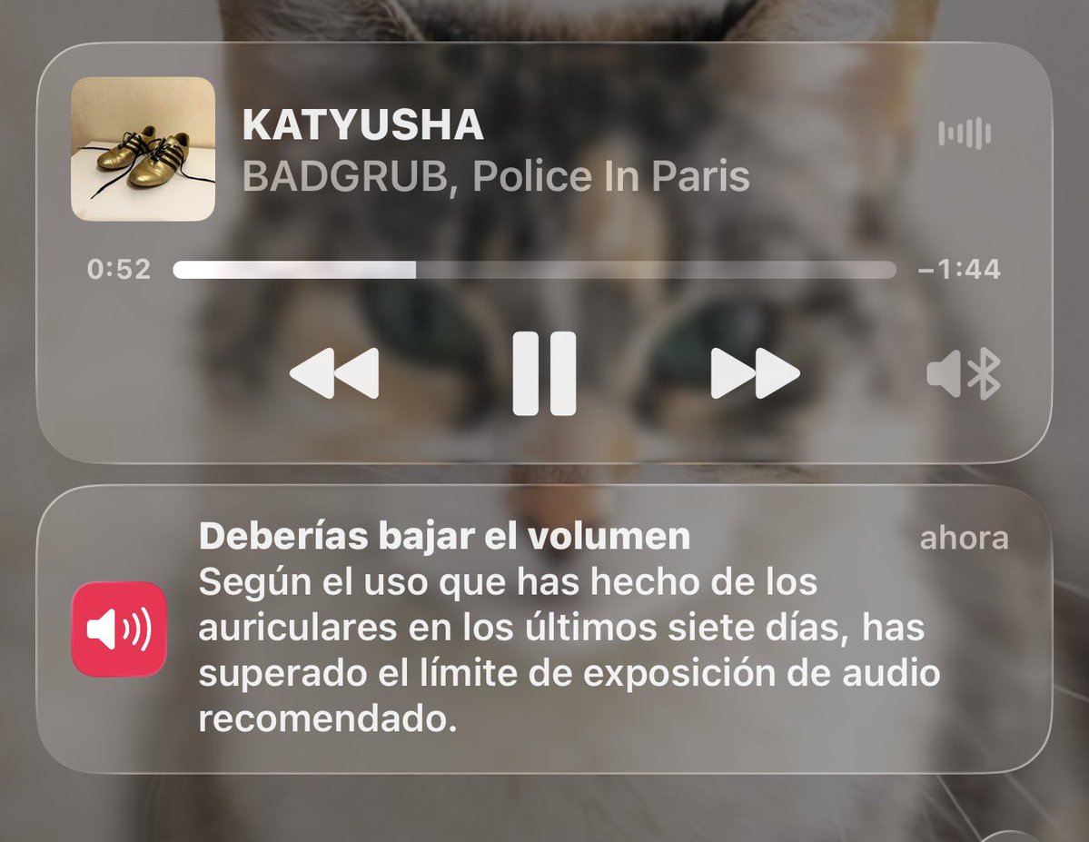 Cocowski. 🤍🥥 tweet media