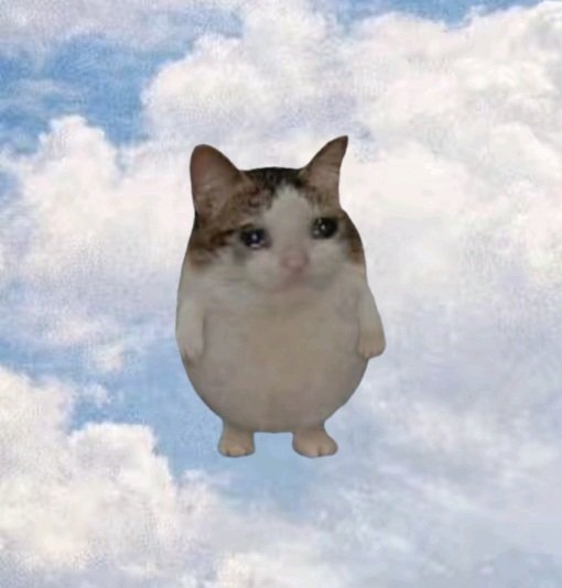 Xᵃᵛⁱᵉʳ🏔 tweet media