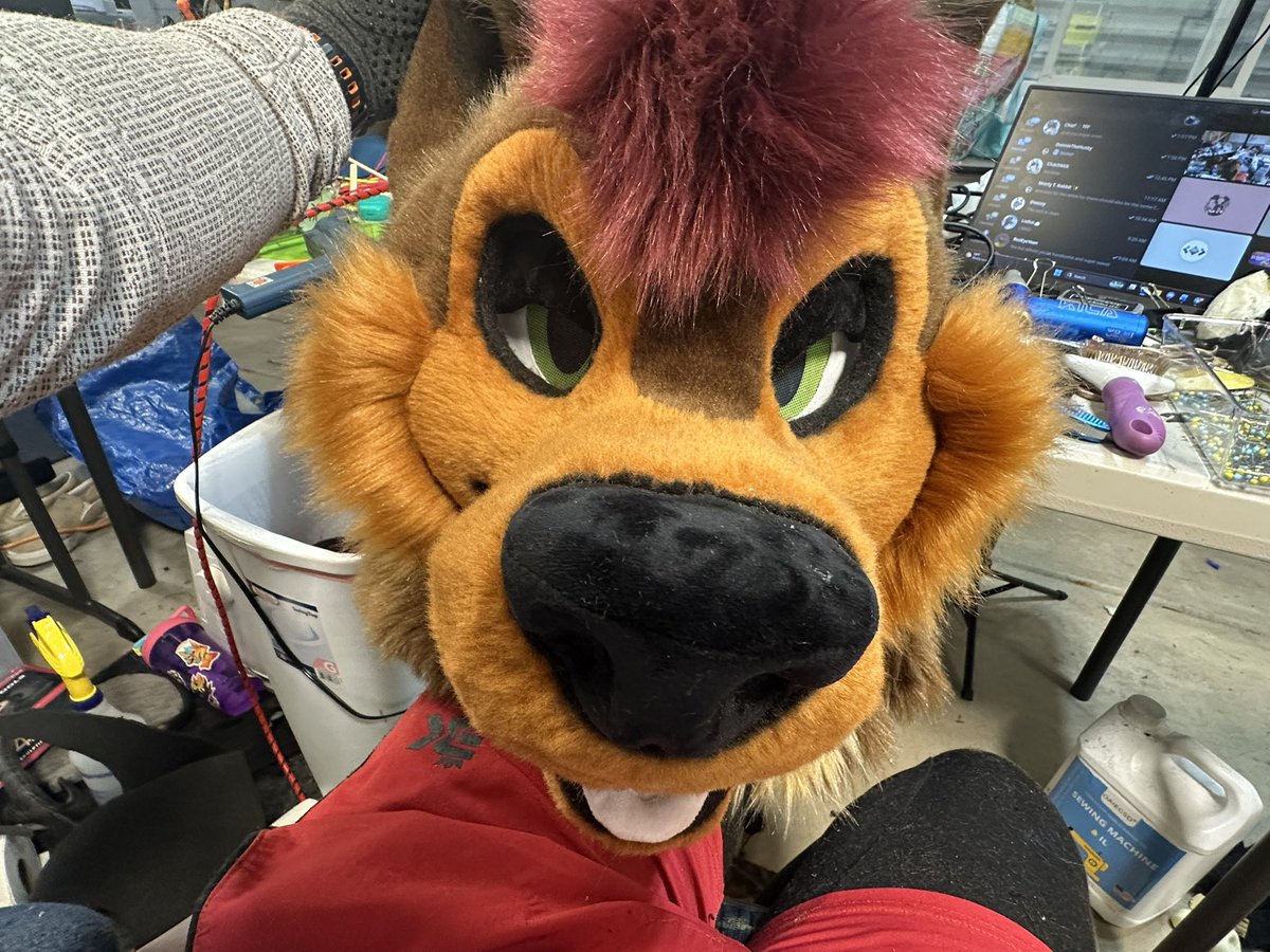 Rum Wolf tweet media