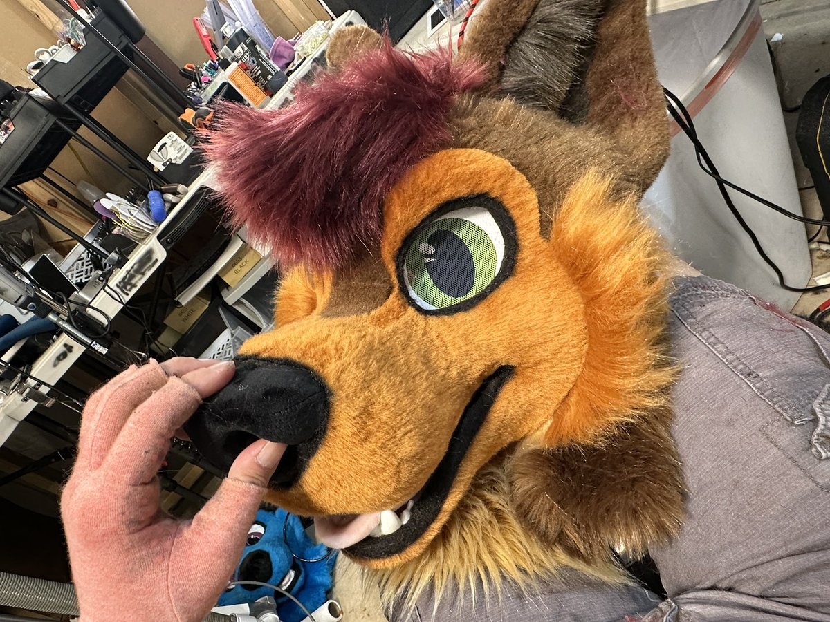 Rum Wolf tweet media
