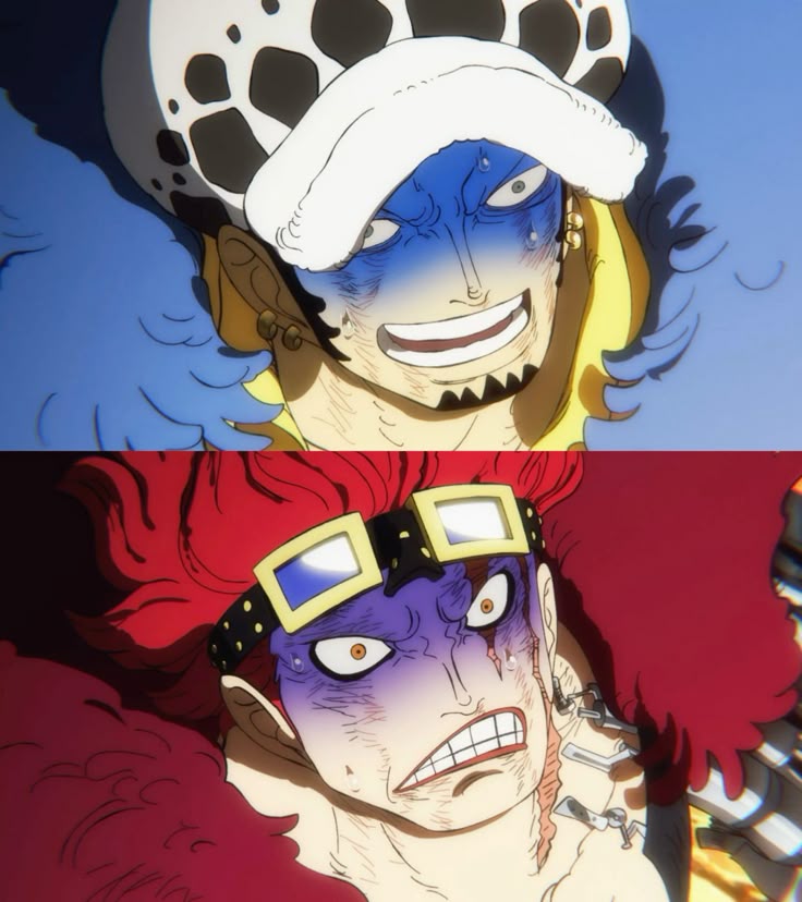 키드처돌이 tweet media