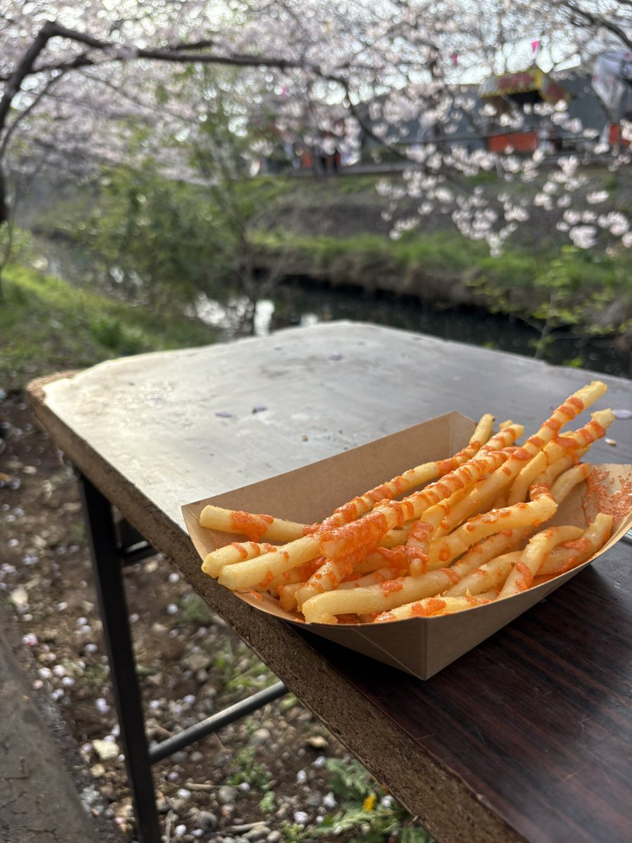 solaka01010202's tweet photo. 3月31日
・昨日頑張って桜見に連れてってもらった
・今日は年度末 孫っちの保育園からのメッセージを娘がLINEくれた お利口さんに頑張ってた 
・新年度は 保育園も職場もお引越しファイト
 #みんなdeポジティブ人間化
 #ホメ療法
 #双極性障害
 #脳梗塞 https://t.co/zRl53GynwE