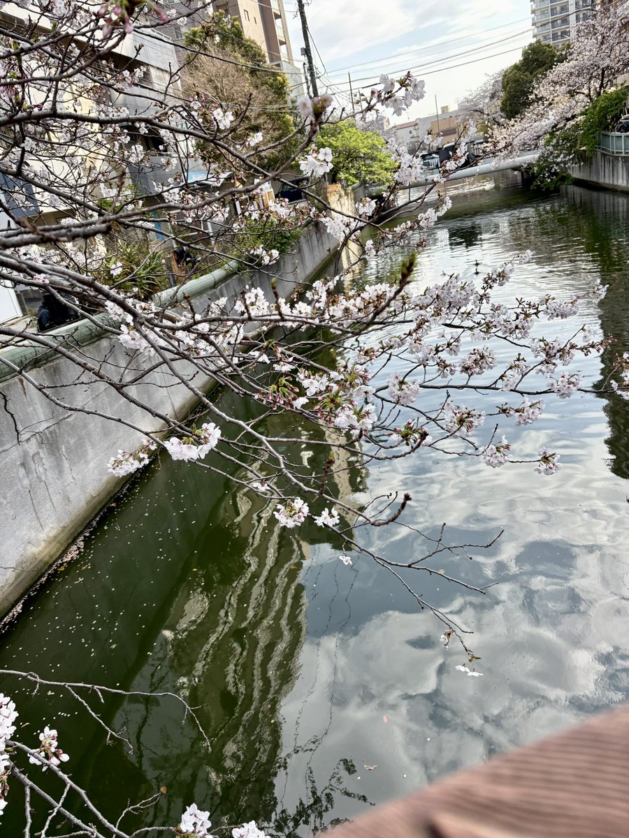 solaka01010202's tweet photo. 3月31日
・昨日頑張って桜見に連れてってもらった
・今日は年度末 孫っちの保育園からのメッセージを娘がLINEくれた お利口さんに頑張ってた 
・新年度は 保育園も職場もお引越しファイト
 #みんなdeポジティブ人間化
 #ホメ療法
 #双極性障害
 #脳梗塞 https://t.co/zRl53GynwE