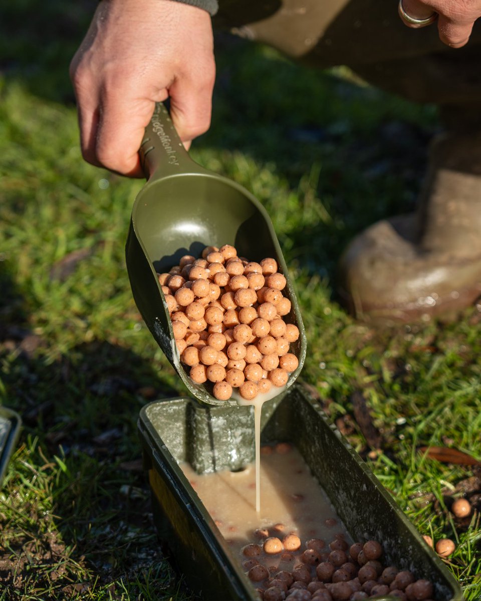 RidgeMonkey tweet media