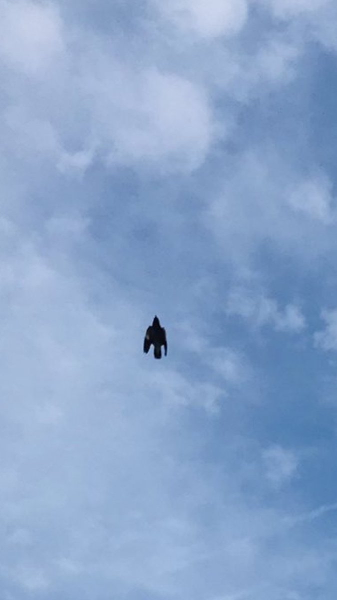 Arsalann tweet media