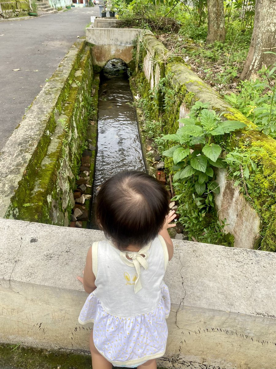 Ivani Light tweet media