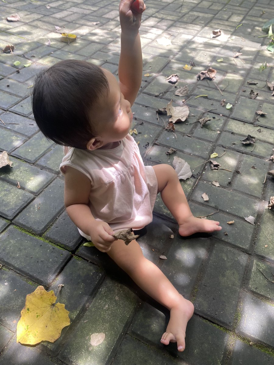 Ivani Light tweet media