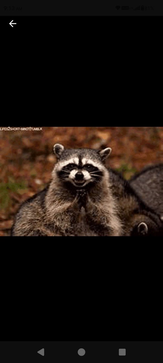 Degenplague tweet media