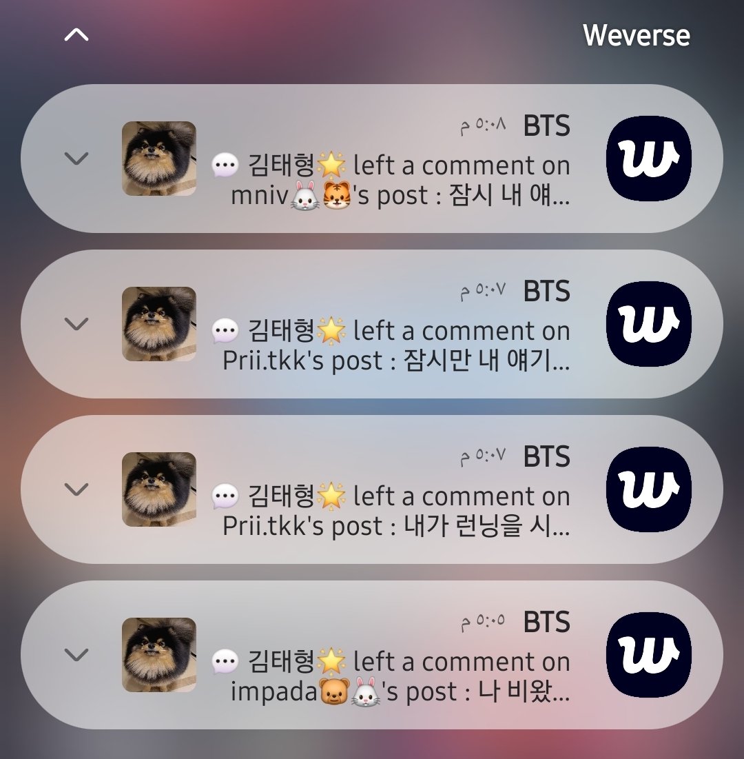 Random User tweet media