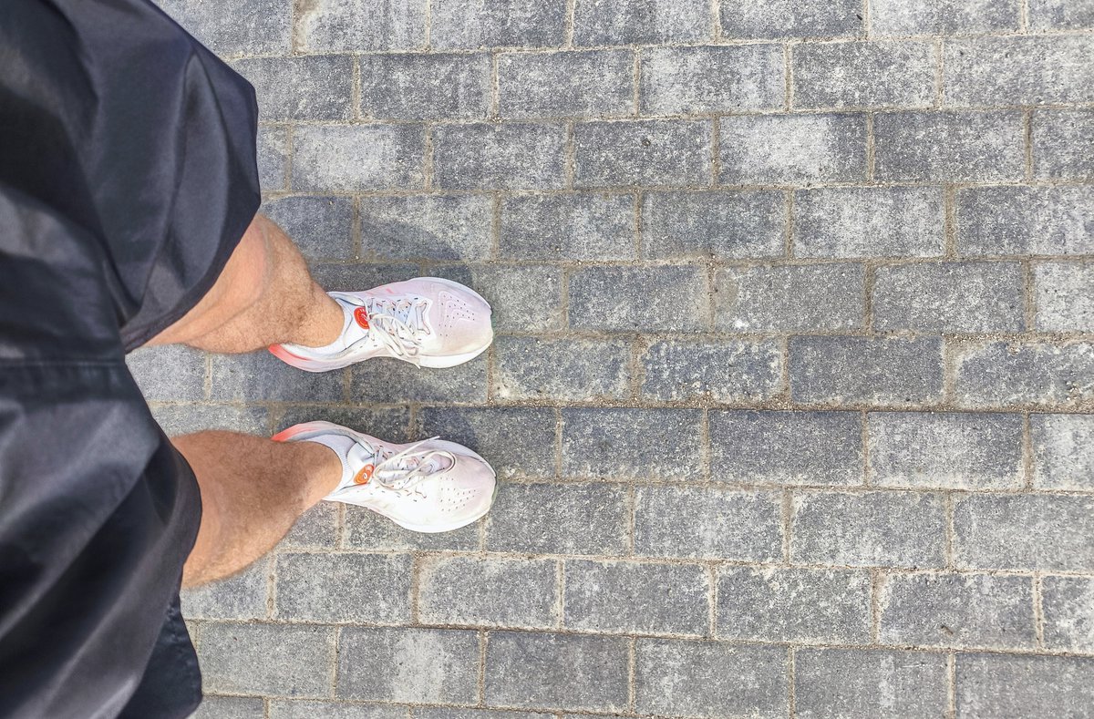 Ar segvārdu Miņins 🏴‍☠️ tweet media