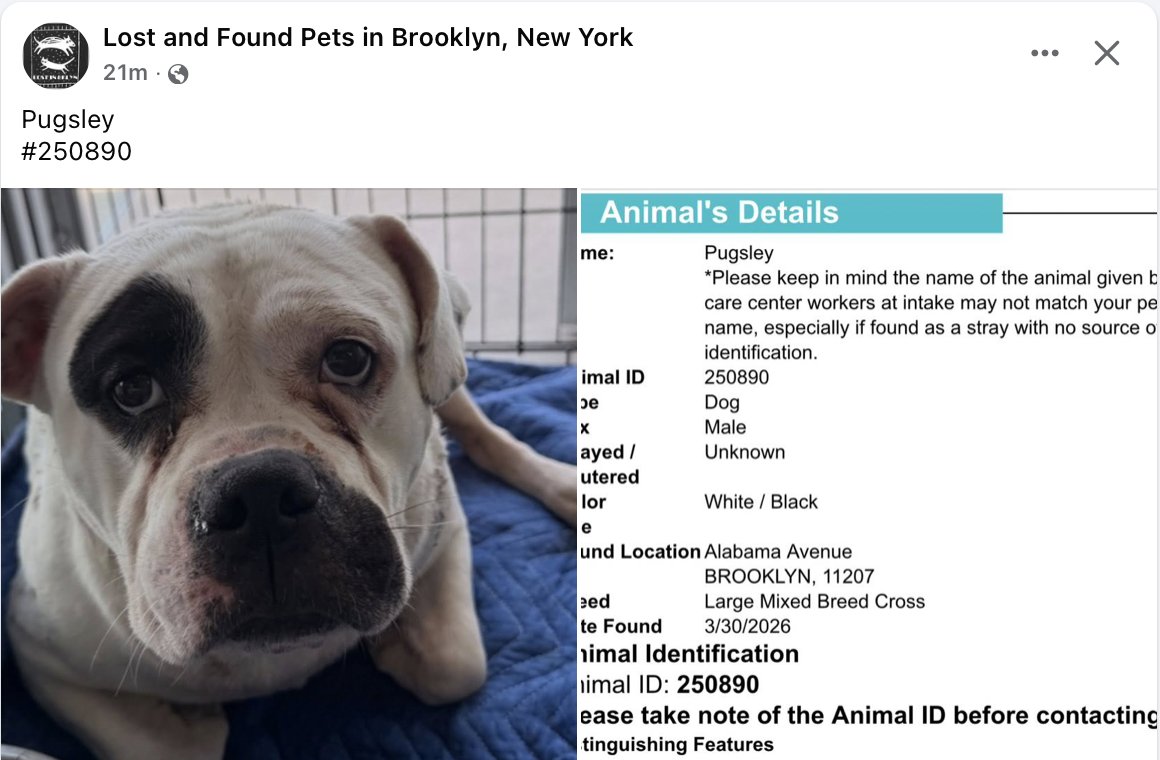 Tootsismyname🏴‍☠️ tweet media