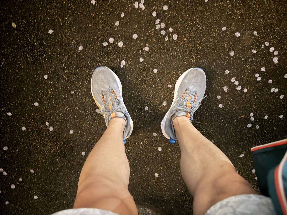 海@Re:still tweet media