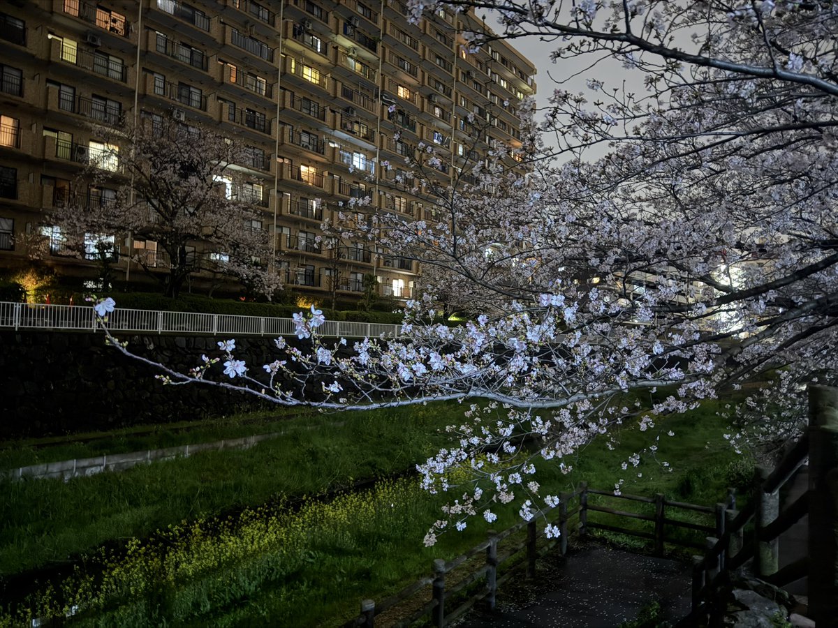 海@Re:still tweet media