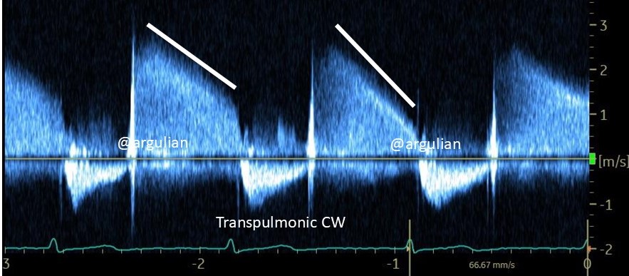 Edgar Argulian tweet media