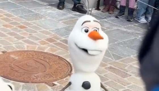 barstoolsports's tweet image. WATCH: Olaf The Snowman Drops DEAD In Front Of Children At Disney Adventure World s.barstool.link/c/article-3566…