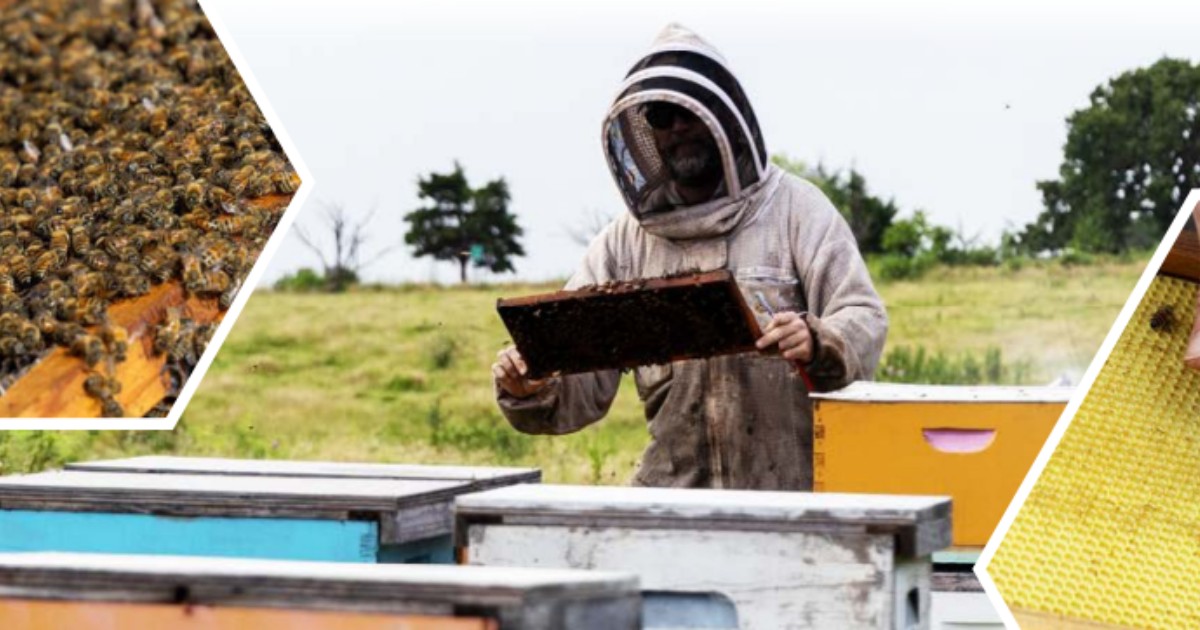 AgTrust Farm Credit tweet media