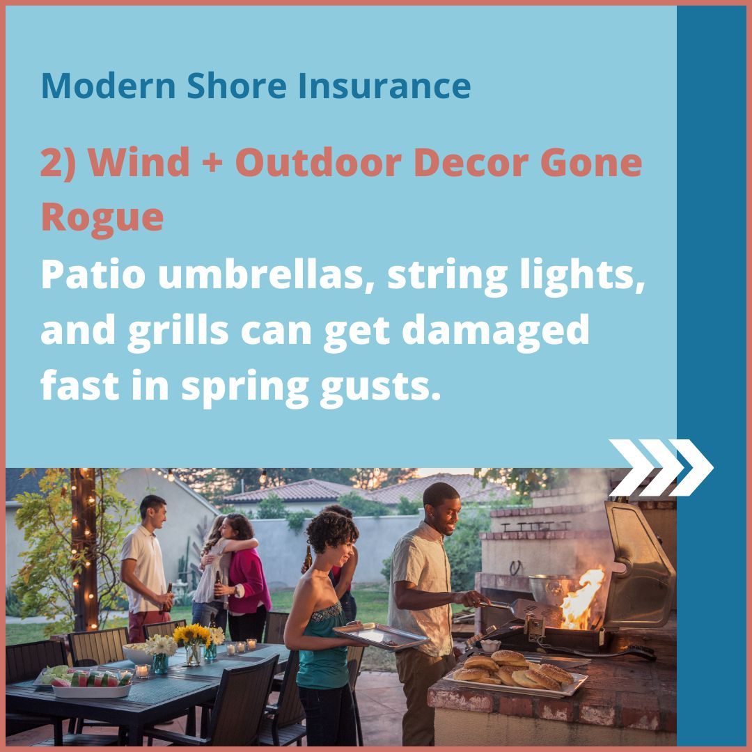 Modern Shore Insurance tweet media