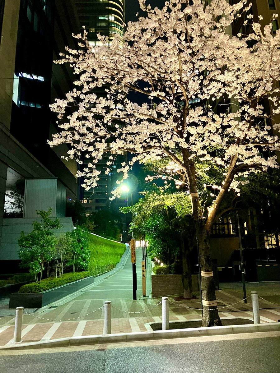 赤城条治B面 tweet media