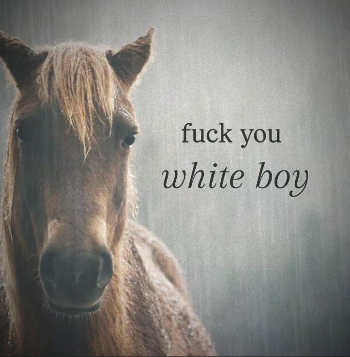 𝘼𝘾𝙀 ✨ | free 🇵🇸 tweet media