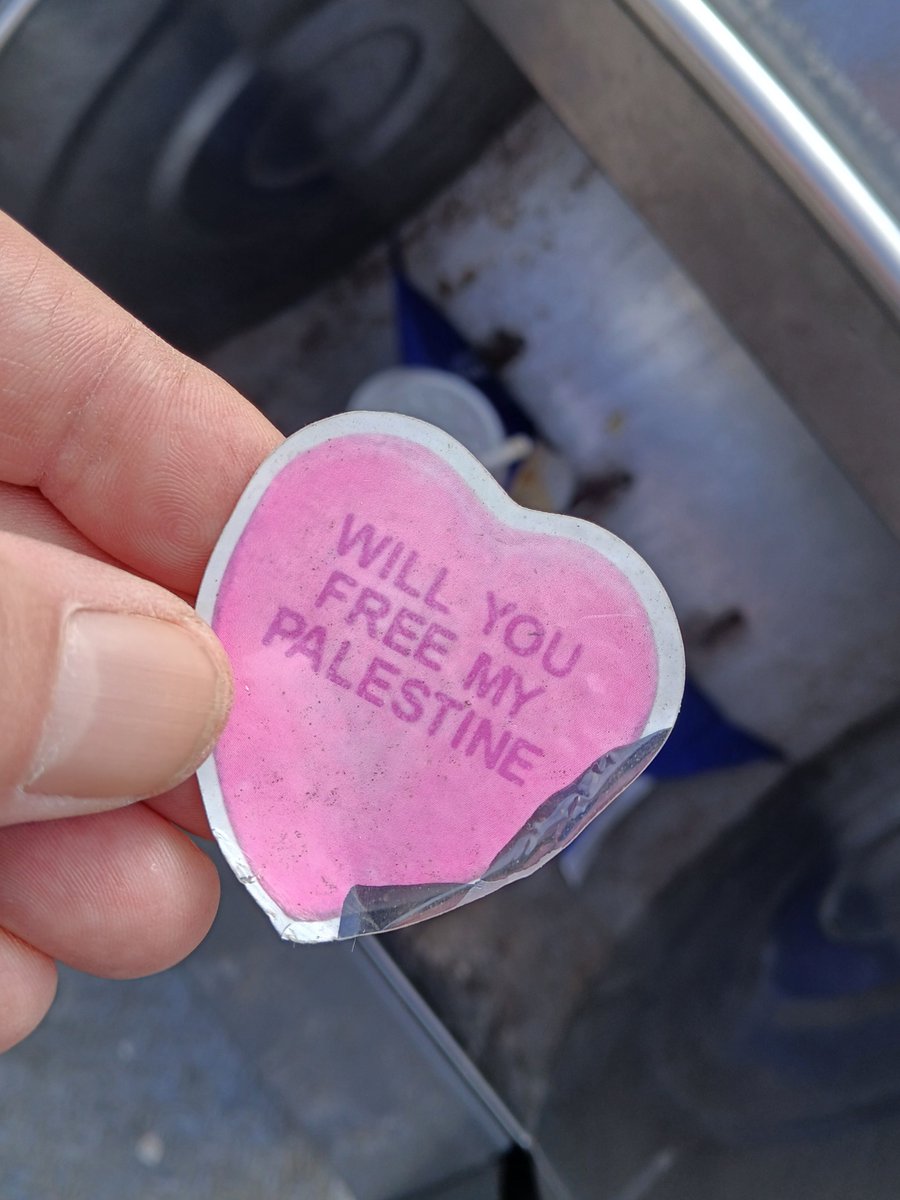 Dirk Varkenshuid tweet media