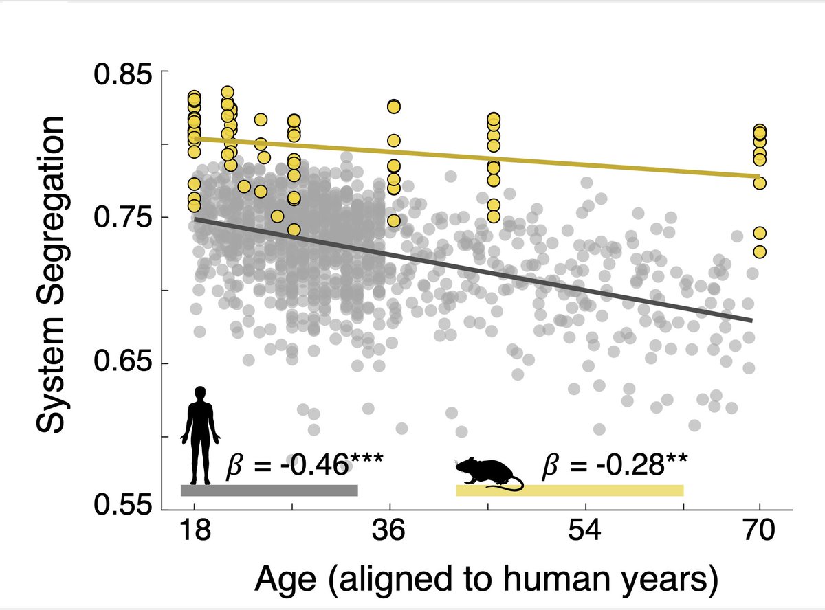 Gagan Wig tweet media