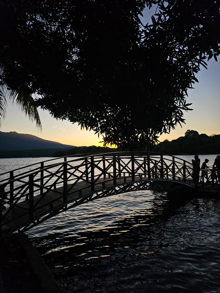 Cañón Digital tweet media