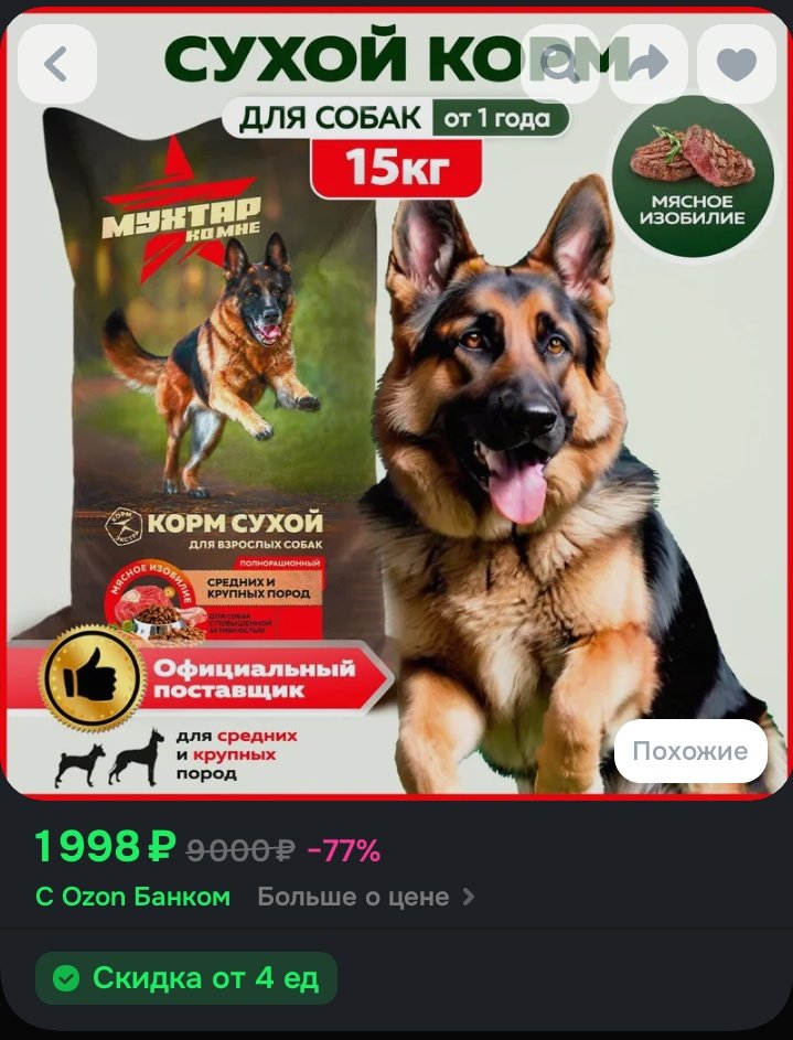 кажется, Фирушка tweet media