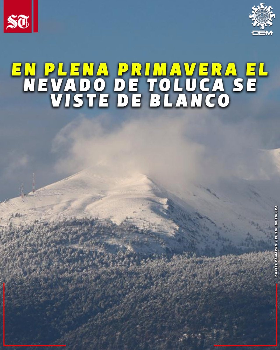 El Sol de Toluca tweet media