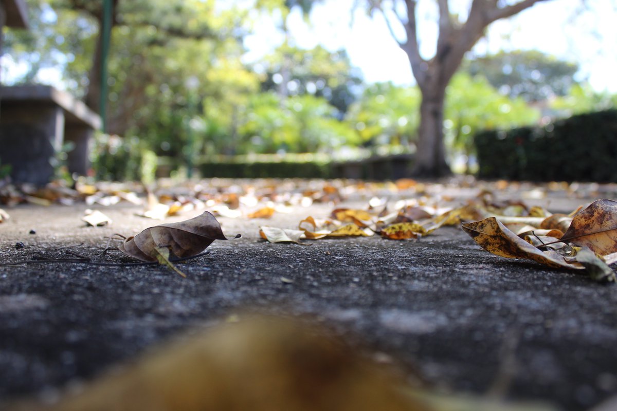 Lienny García Pedraza tweet media