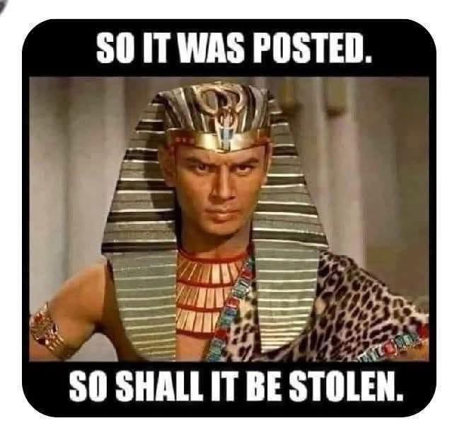 Weblizard ♻️❤️🌎🚫🤡 tweet media