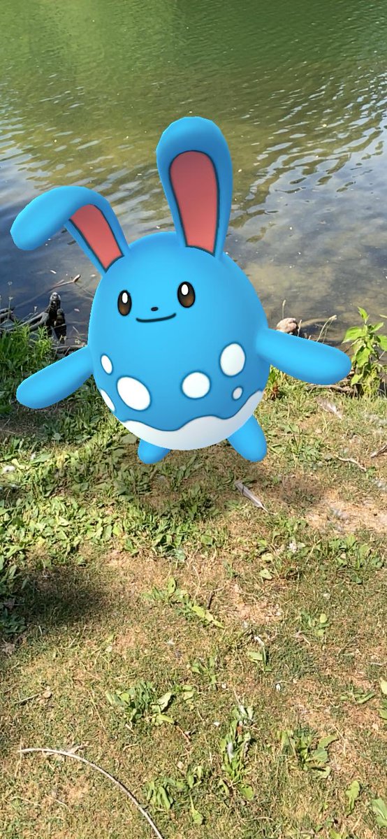 TweeterNicholas's tweet image. No. 0184 Azumarill 
Aqua Rabbit Pokémon
💧🧚🏻‍♀️

Azumarill can make balloons out of air. It makes these air balloons if it spots a drowning Pokémon. The air balloons enable the Pokémon in trouble to breathe.

#Pokédex
#Pokémon
#HappyEaster

🐰
