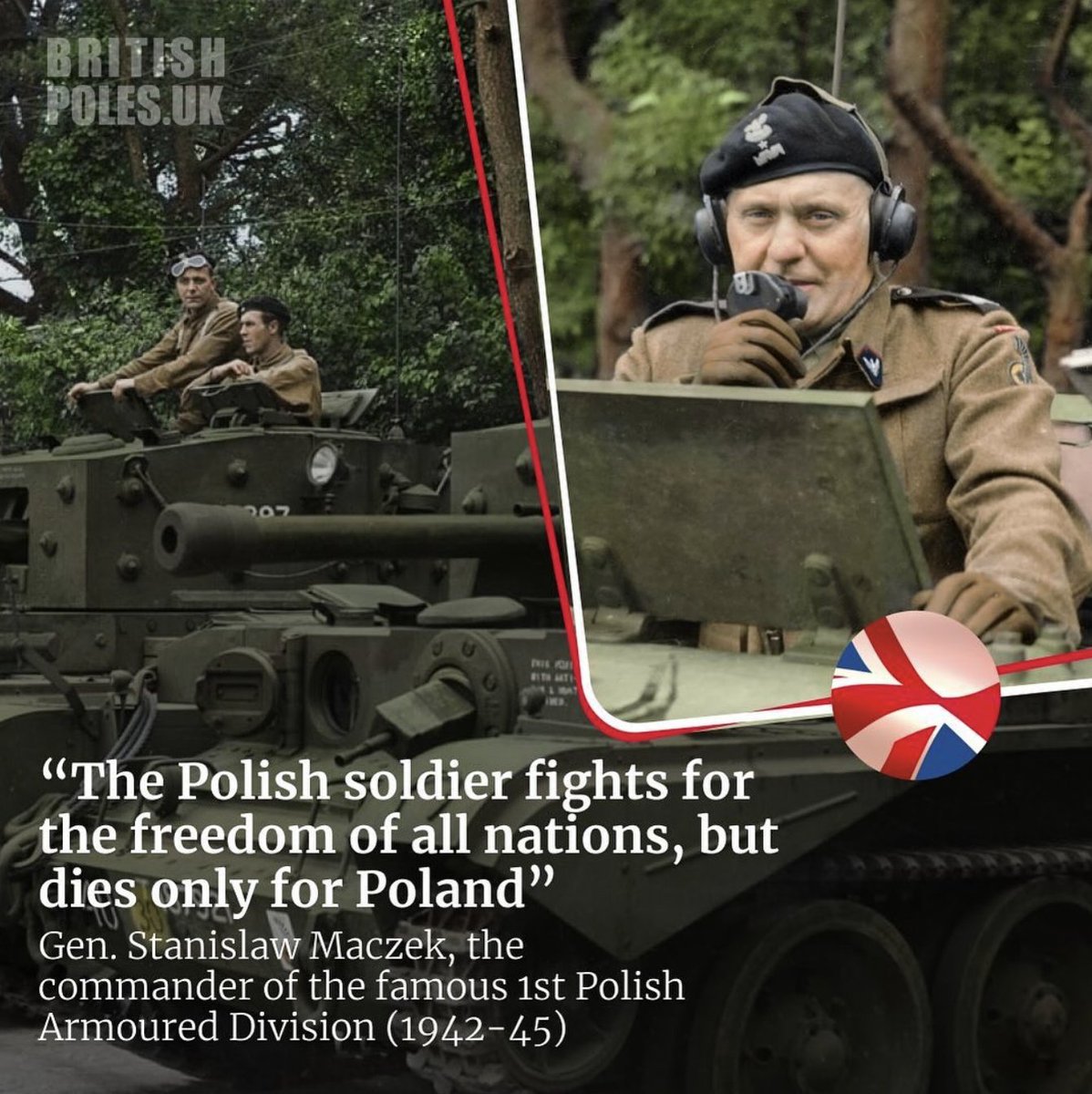 British Poles tweet media