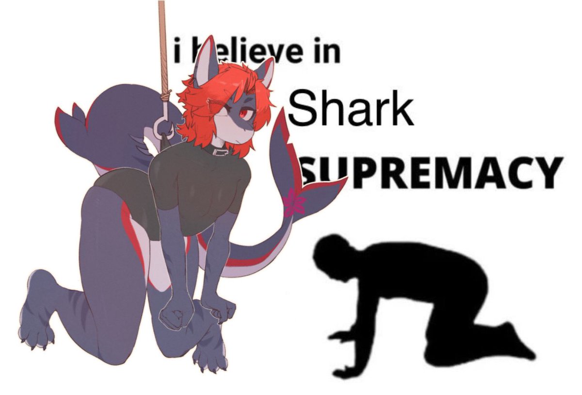 _Jerrycy_ tweet media