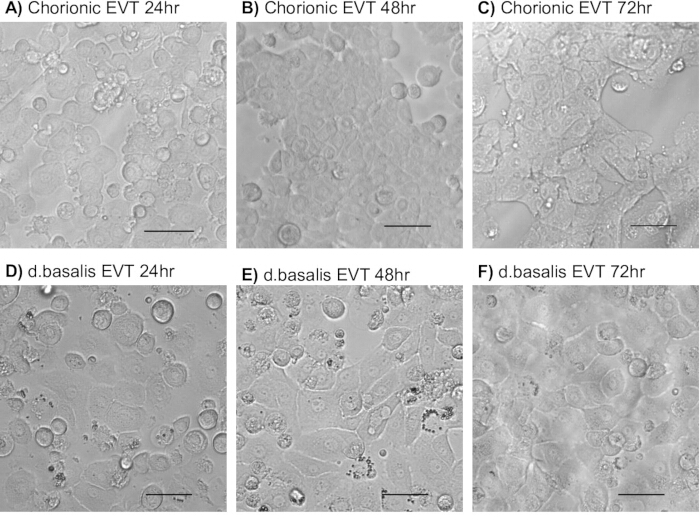 Waggoner Lab tweet media
