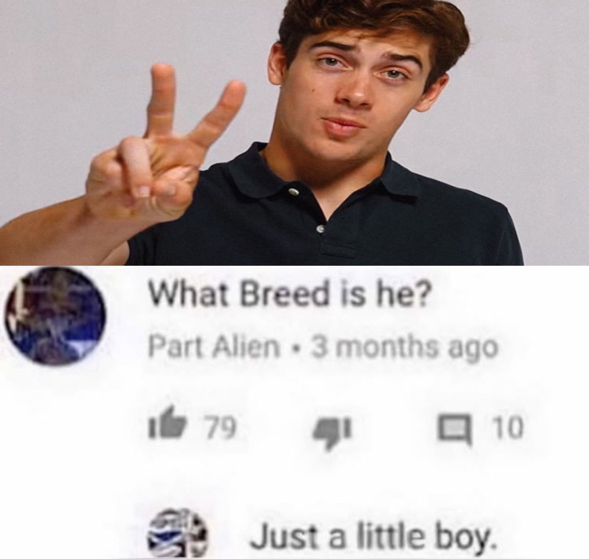 ⁵ ⁴³ tweet media