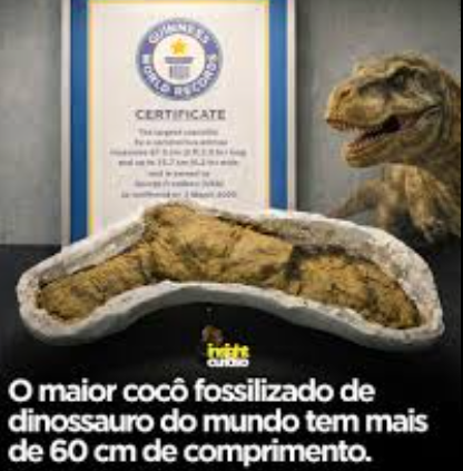 alinx27's tweet photo. @leiaoanuncio Esse carro é mais uma prova que merdas raras também ajudam a entender a a evolução https://t.co/Y3wjmhlg2f